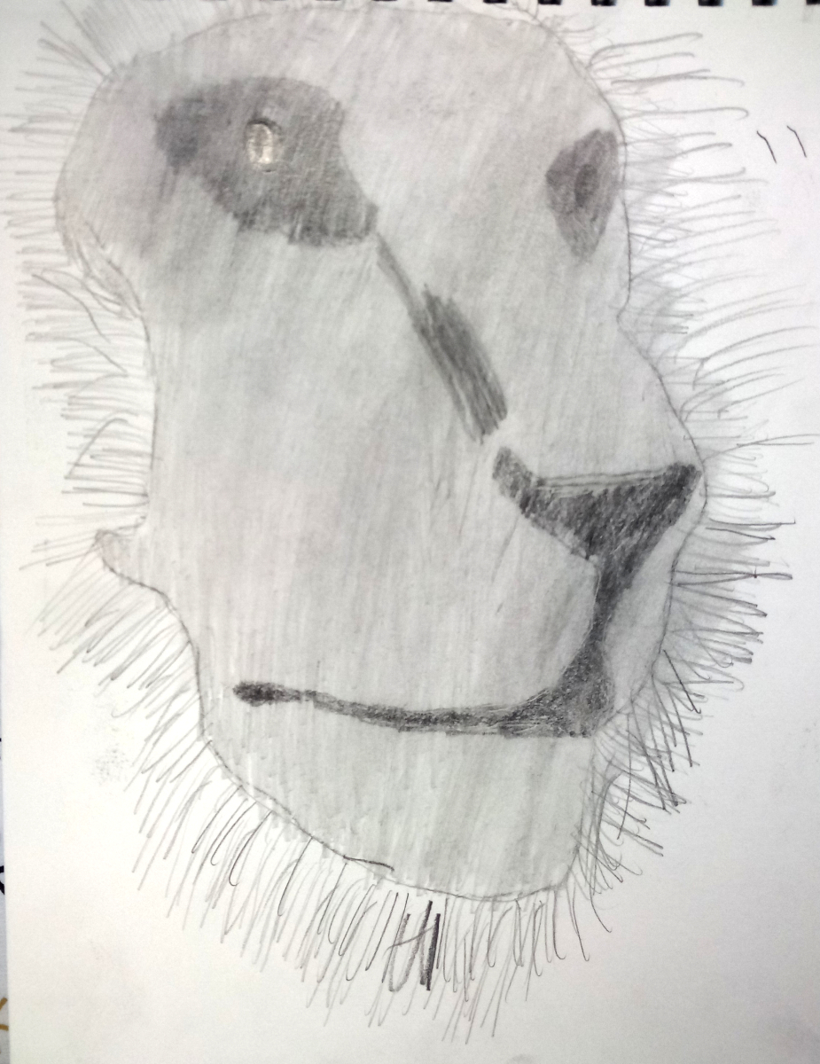 lion